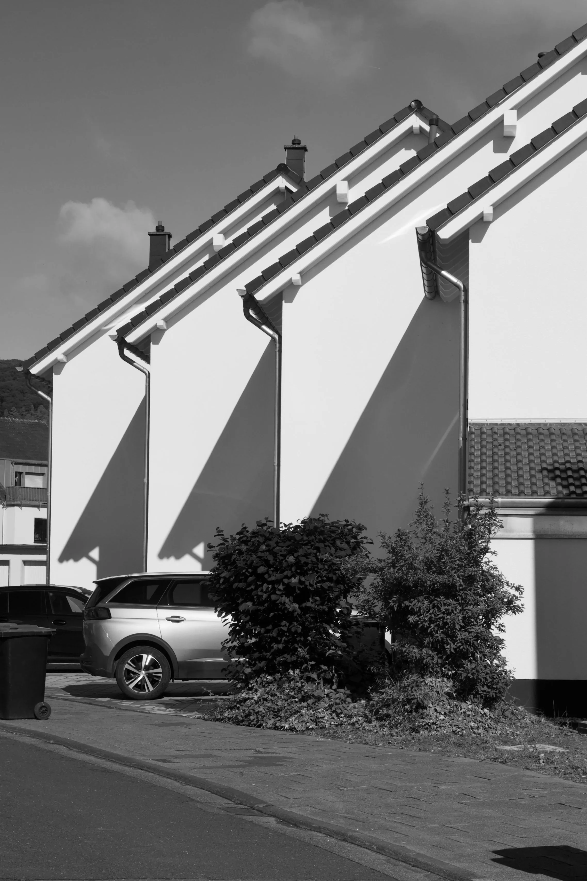 Matriarch Real Estate